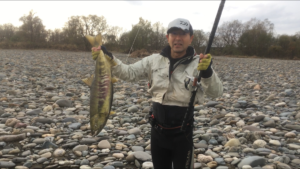 img 5723 300x169 - 信濃川で鮭釣り