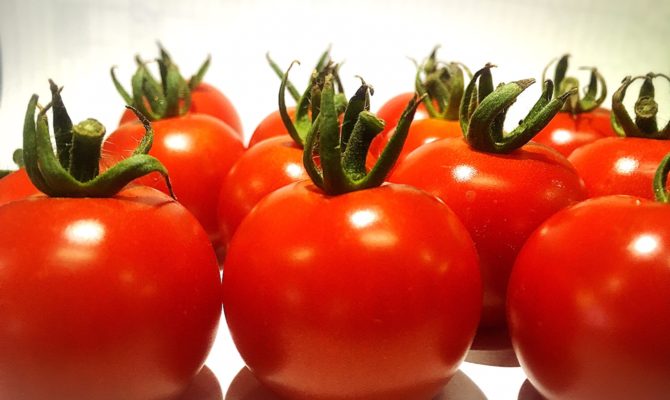 滝の又農産の千果